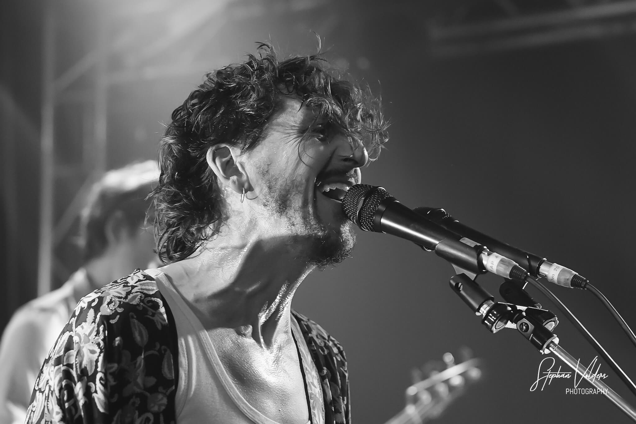 Green crow collective